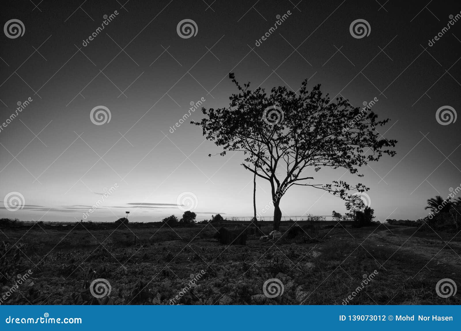 black and white image of the lonely desolated trees,ÃÂ  with moody stormy sky in the background.